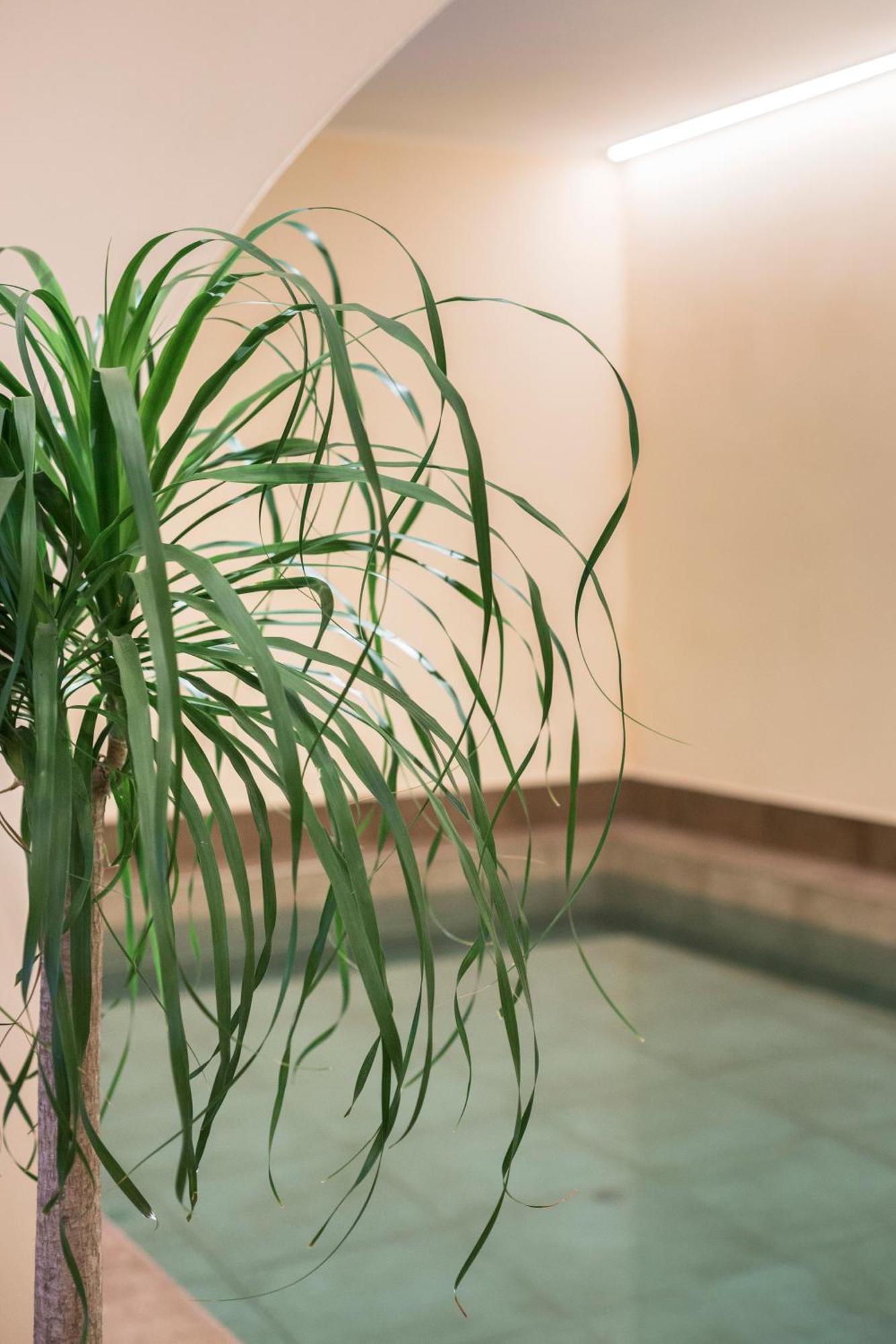 Hotel Agave In Citta Livorno