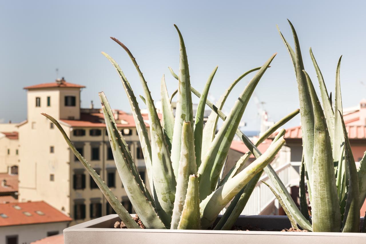 Hotel Agave In Citta Livorno
